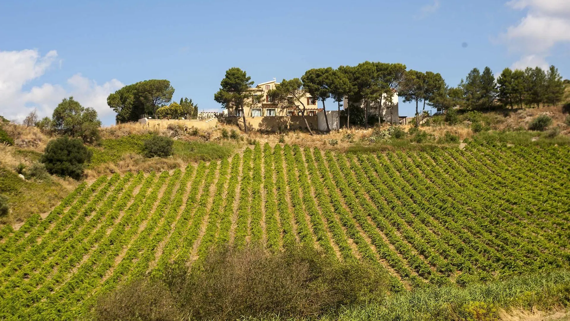 Willa Feudo Del Biviere Santa Ninfa 0*,