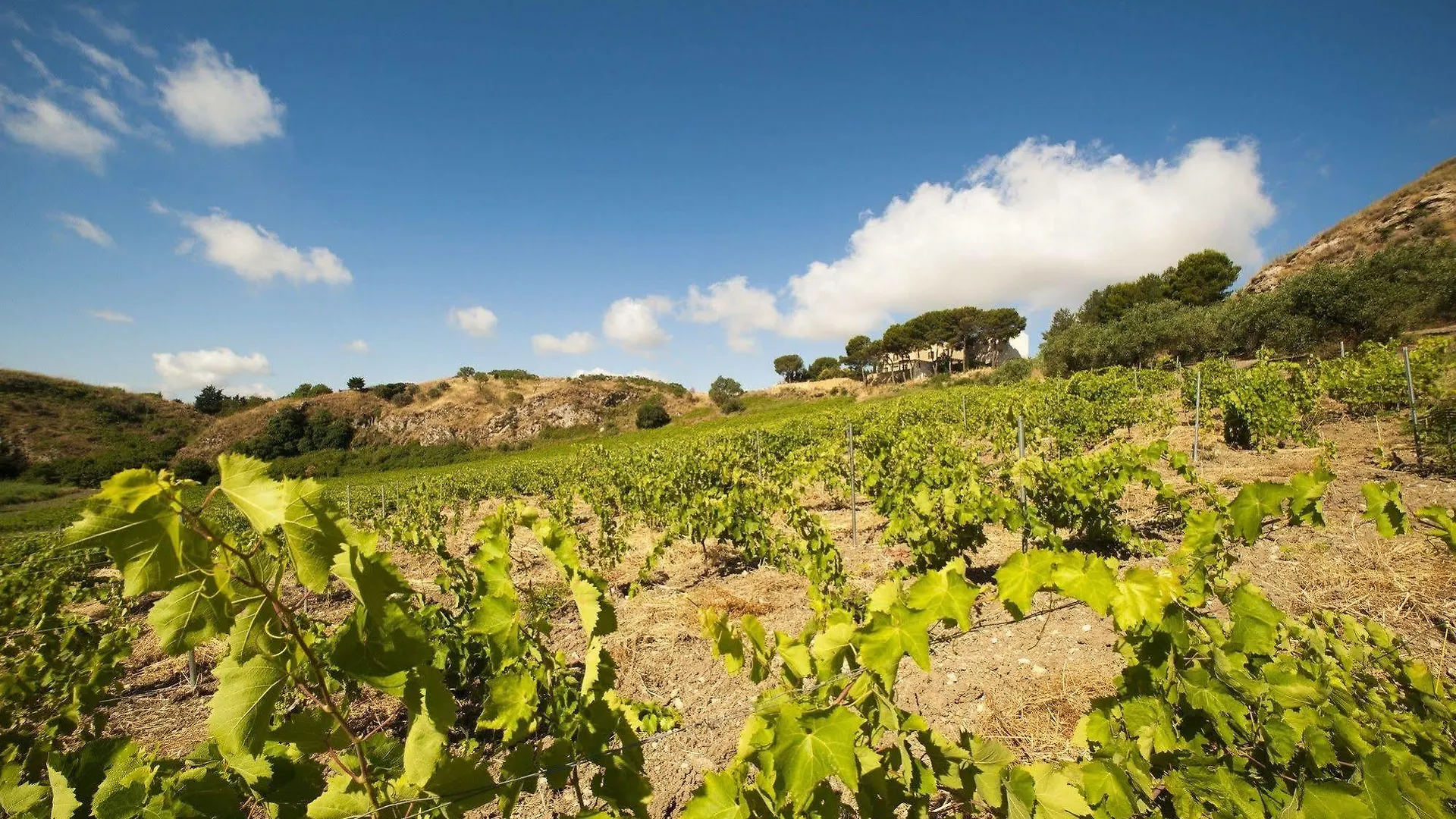 Feudo Del Biviere Villa Santa Ninfa 0*,